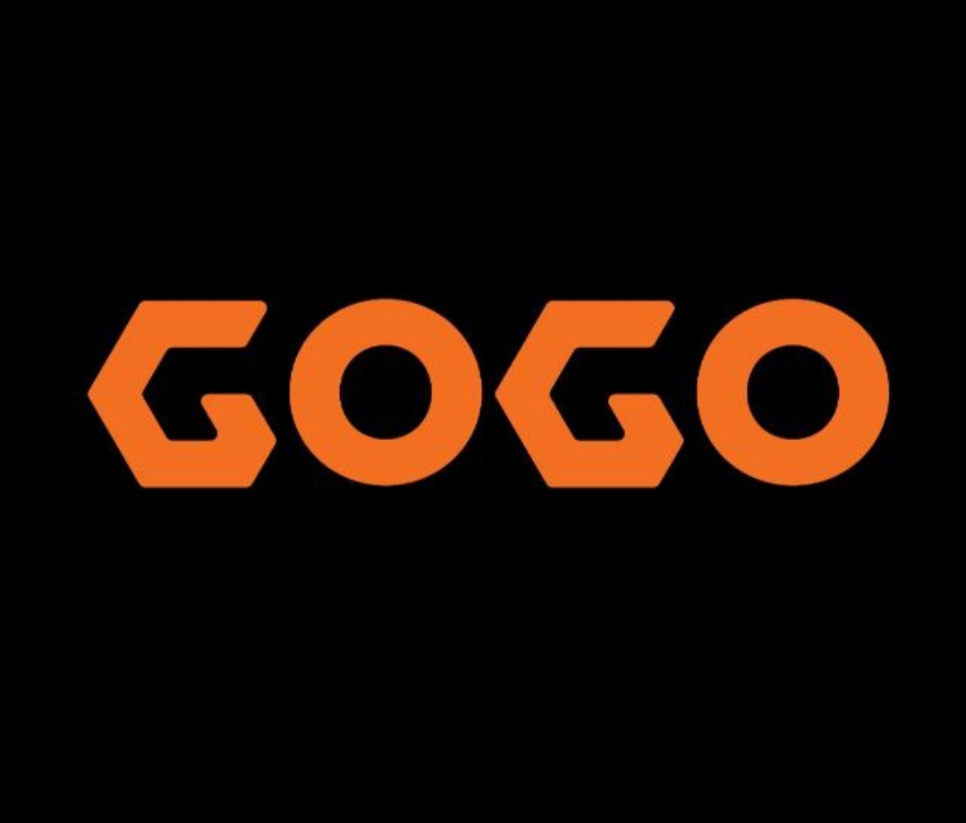 Tentang Gogo Car Wash